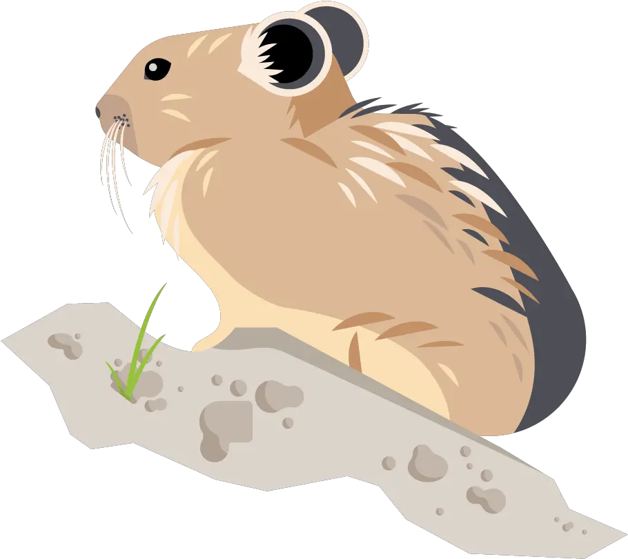 Citizen Science Icons U2014 Lauren Beltramo Pika Clipart Png Hamster Icon
