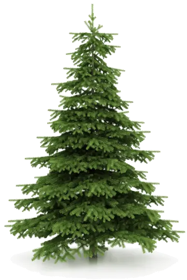 Christmas Tree Images Png