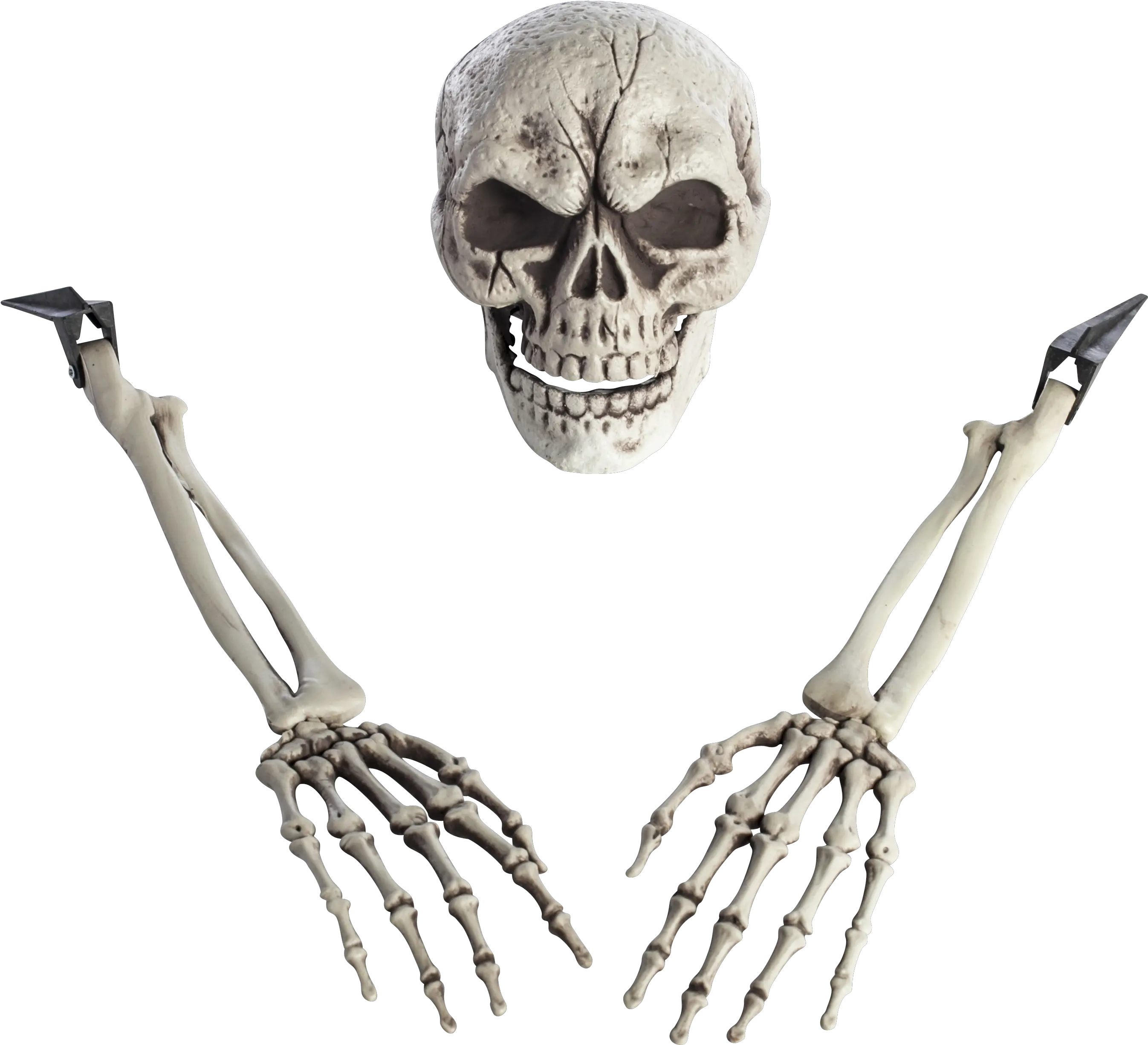 Download Hd Skeleton Arm Png Transparent Image Nicepngcom Skeleton Skeleton Png Transparent