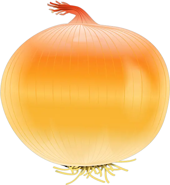 Clipart Vegetables Onion Yellow Onion Png Onion Png