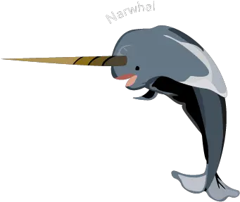 Index Of Academicsar264spring2015dsullivaproject3 Seabird Png Narwhal Png