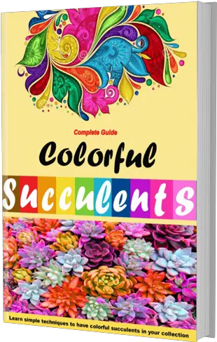 How To Get Colorful Succulents Suculentas Coloridas Guia Completo Png Succulent Transparent Background