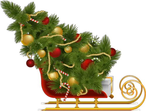Christmas Tree Png Images