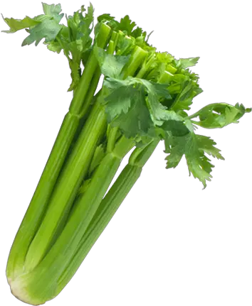 Celery Transparent Sleeved Image Black Transparent Png Celery Png Celery Png