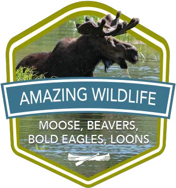 Amazing Wildlifeicon Katahdin Woods And Waters Scenic Byway Png Amazing Icon