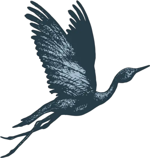 The Story Behind Blue Crane Blue Crane Bird Flying Png Crane Bird Png