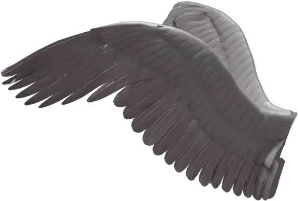 Wings Png Wings From The Side Wings Png Transparent