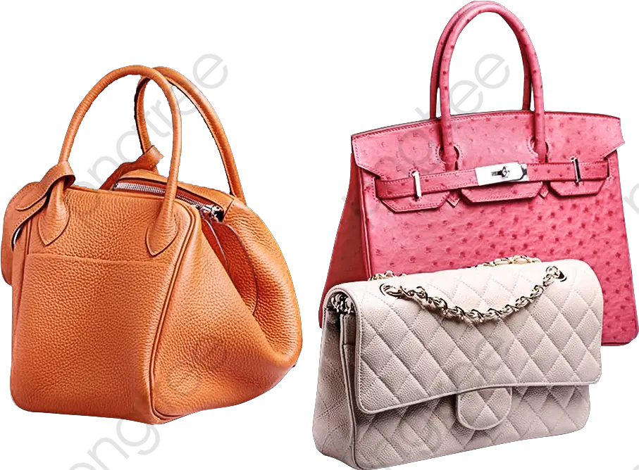 Handbag Ms Bag Ladies Hand Bag Transparent Png Purse Png