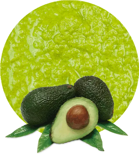 As An Avocado Puree Supplier Is The Perfect Place Avocado Hd Png Avocado Transparent