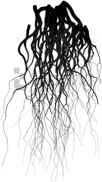 Black Veins Png Image With Transparent Transparent Background Black Veins Transparent Veins Png