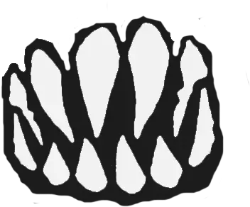 Post Your Transparent Png Tattoou0027s And Logos Here Page 16 Finn Balor Png Logo Finn Balor Png