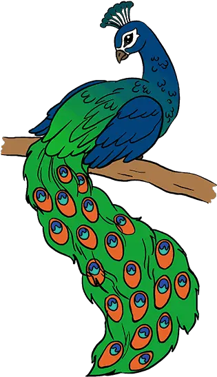 Peacock Png Images Easy Step Peacock Drawings Peacock Png