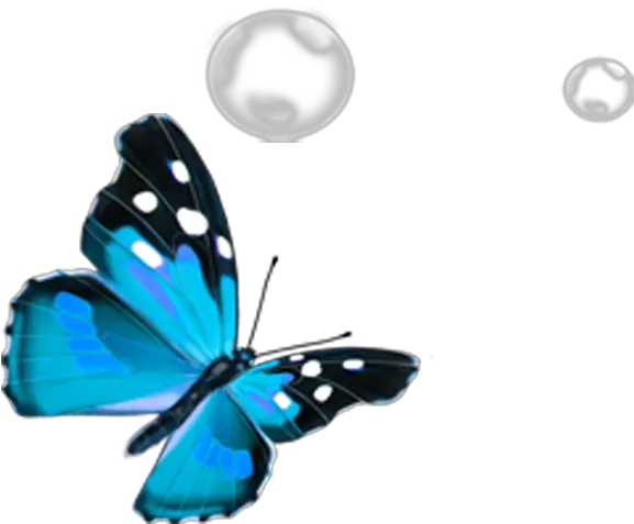 Butterfly Blue Blue Butterfly Png Transparent Butterfly Transparent png