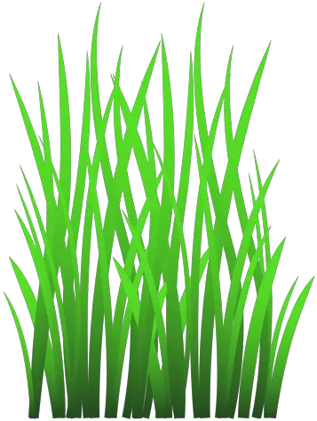 Transparent Png Svg Vector File Imágenes De Una Hierba Dry Grass Png