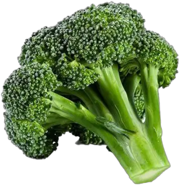 Green Broccoli Png Transparent Transparent Background Broccoli Png Broccoli Transparent