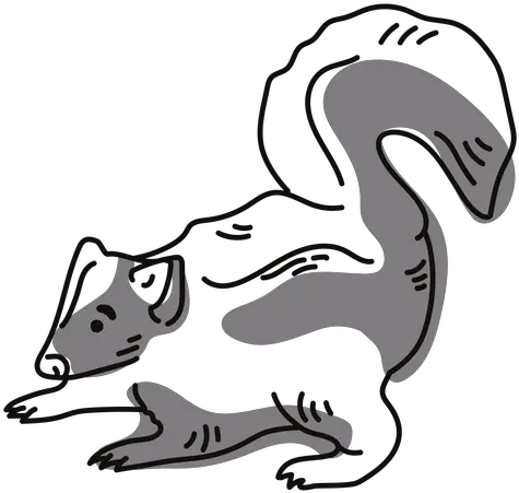 Skunk Graphics To Download Animal Figure Png Skunk Icon