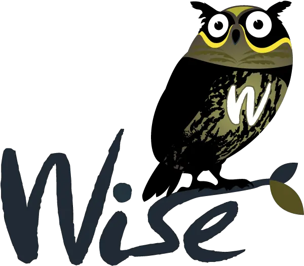 Jbossorg Ui Design Wise Png Wise Owl Icon