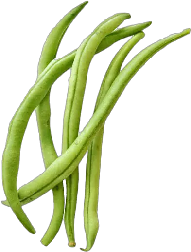 Green Beans Png Free Image Transparent Background Green Beans Png Beans Png