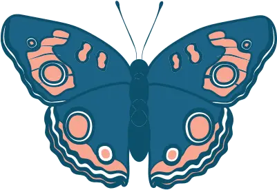 Packages Family First Butterflies Png Colorful Butterfly Icon