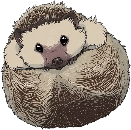 Hedgehog Sticker 1 U2014 Weasyl Hedgehog Drawing Png Hedgehog Transparent