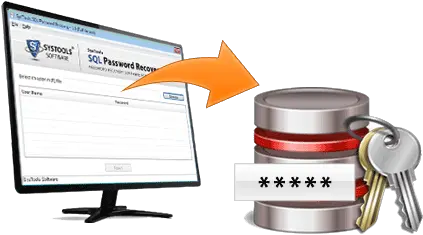 Sql Server Database Password Recovery To Reset Language Png Password Recovery Icon