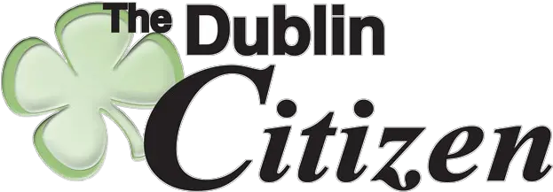 Dublin Citizen Frazer Computing Png Polnareff Icon