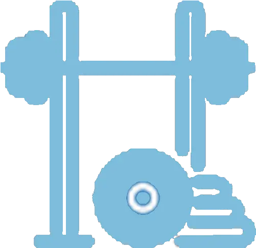 Physicalwellness Weights Png Copy Icon Image