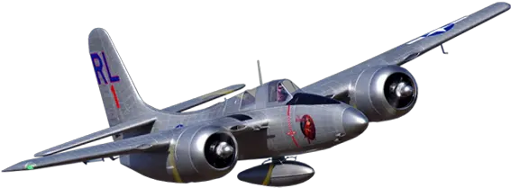 Skyraccoon Twinjet Png Icon Airframe Review