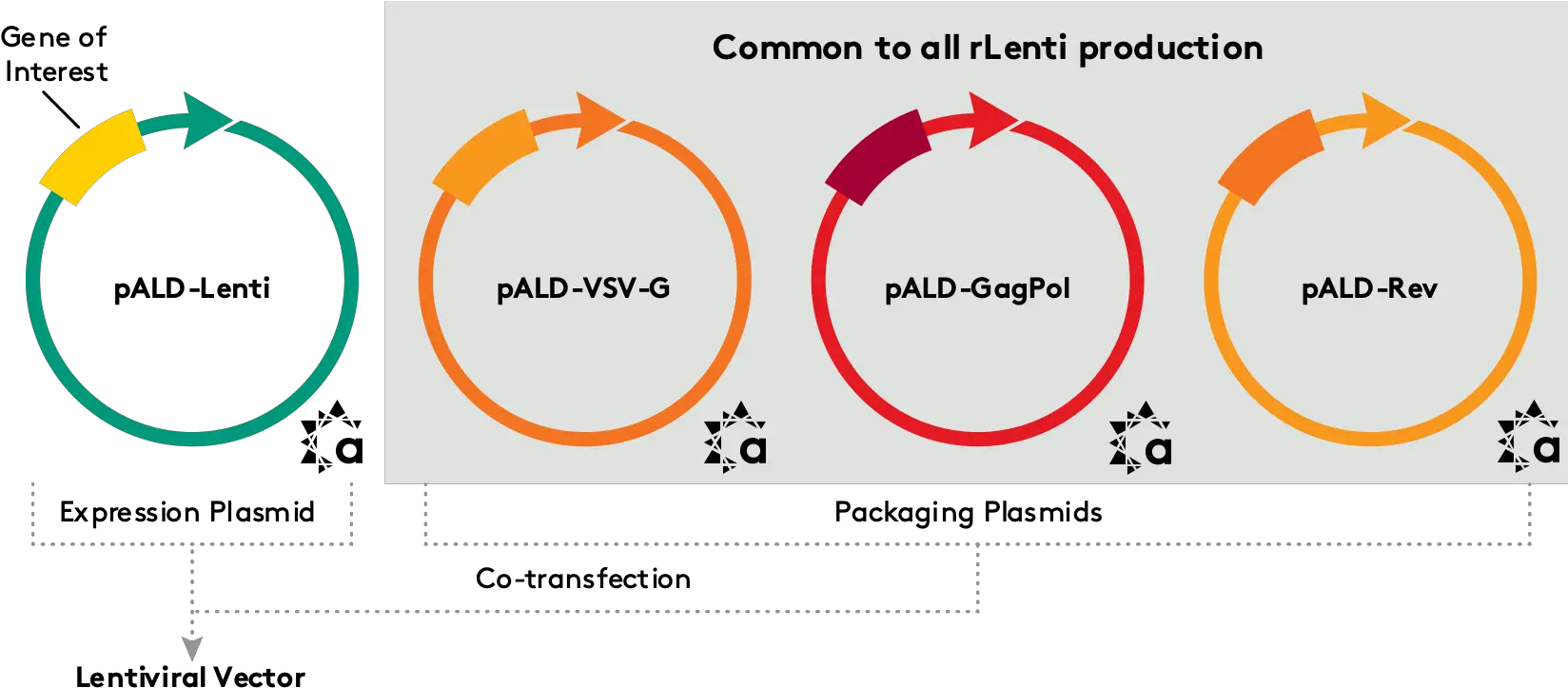 Supporting Aav And Lentiviral Vector Development Lentivirus Helper Plasmid Png Manufacturing Icon Vector