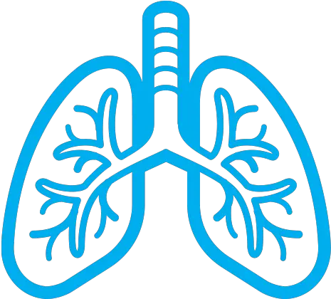 About Ra Ild Trail1 Lung Png Lung Png