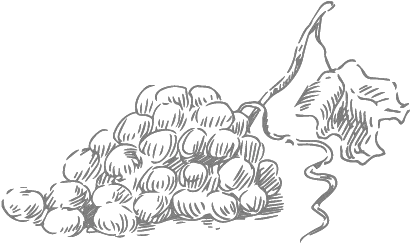 Kisspng Grapeiconsketchgrapes5a8e53c6b992a2 Language Grapes Icon