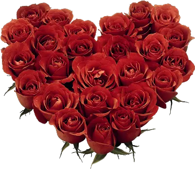 Rosas Rojas Png Imagui Nikah Mubarak In Urdu Rosas Rojas Png