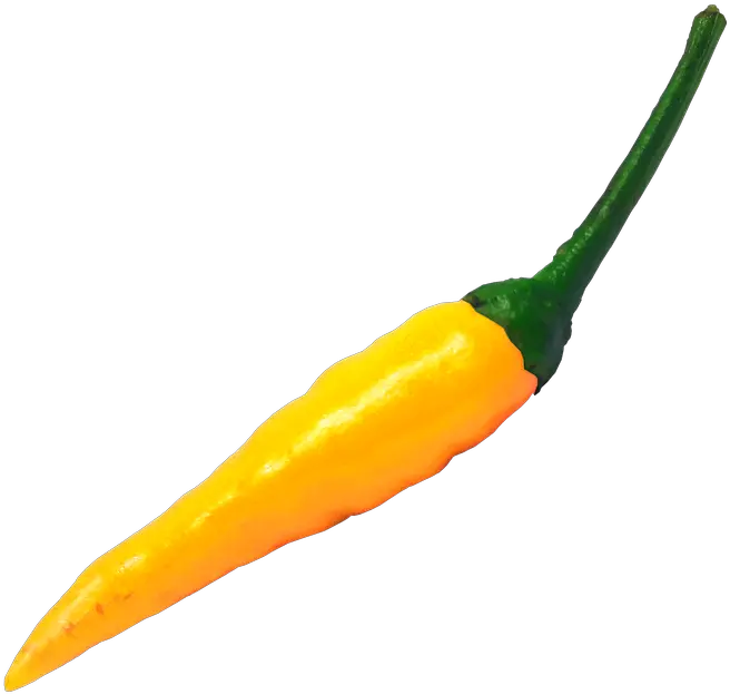 Chili Hot Pepper Free Image On Pixabay Tabasco Pepper Png Chili Png