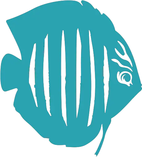 Bred Discus Aquarium Fish Png Discus Icon