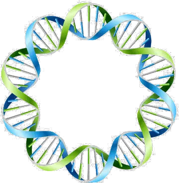 Dna Dna Circles Png Dna Colorful Icon