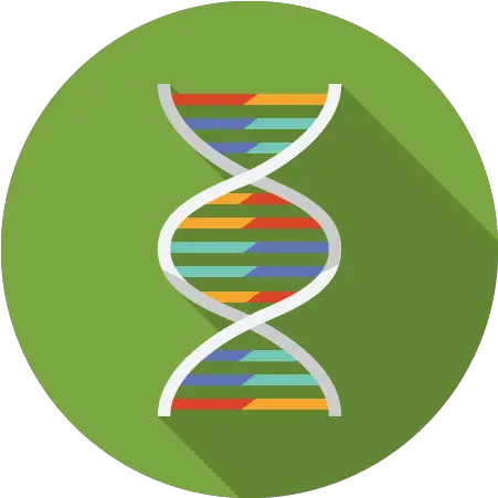 Getting Started A Template Guide Vertical Png Dna Colorful Icon