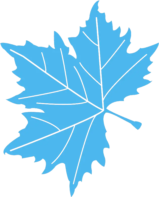Sycamore Leaf Silhouette Leaf Vector Hd Png Leaf Silhouette Png png