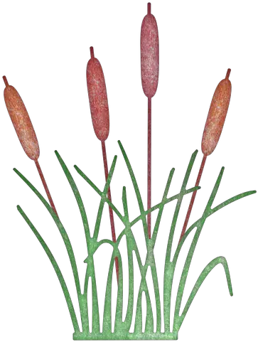 Cattail Cheery Lynn Designs Plant West Clipart Transparent Background Reeds Png Reed Png