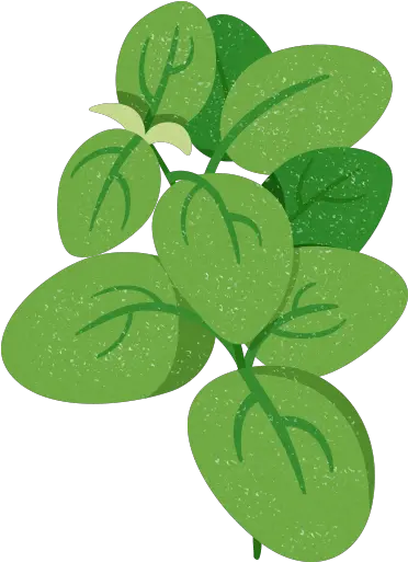 Download Spinach Leaves Spinach Png Image With No Illustration Spinach Png