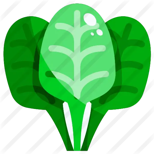 Spinach Spinach Icon Png Spinach Png