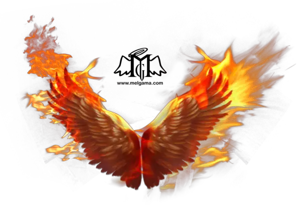 Download Phoenix Photos Hq Png Image Transparent Phoenix Wings Png Phoenix Transparent