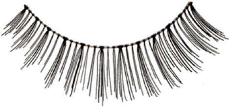 Upper Eyelashes Tv5 Kryolan Eyelashes Png Eyelashes Transparent