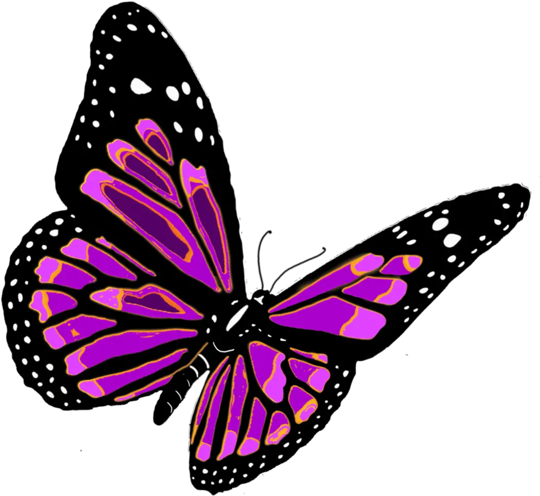 Butterfly Transparent Pictures Free Icons And Backgrounds Clip Art Flying Butterfly Png Butterfly Transparent png