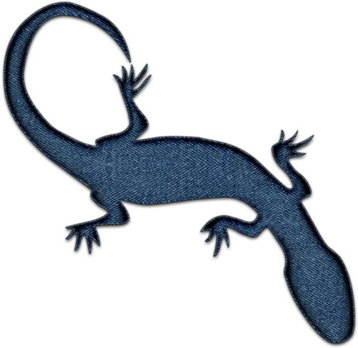 Geckos Png Picture Salamander Tattoo Gecko Png