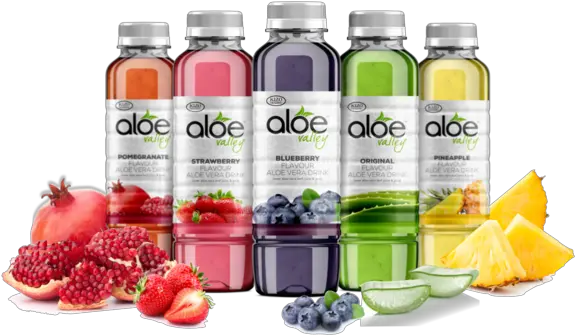 Aloe Valley Png