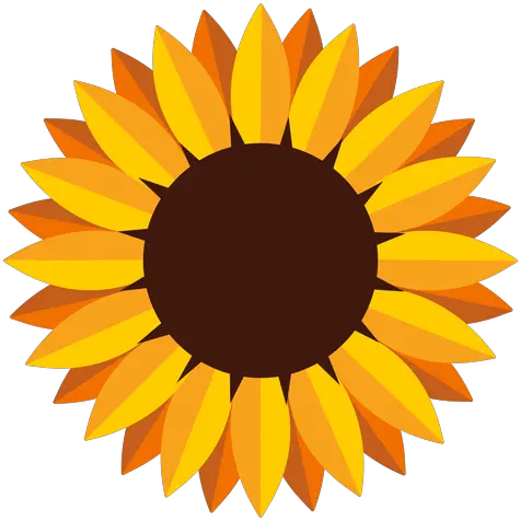 Aislada De La Cabeza Del Girasol Sunflower Graphic Png Girasol Png
