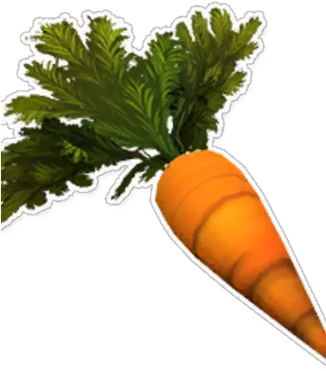 Carrot Garden Carrot Png Carrots Png