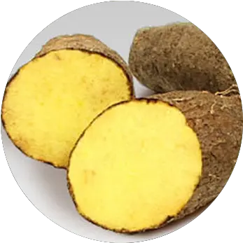 Yellow Yam Grierfield Farms Yellow Yam Png Yam Png