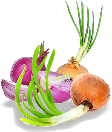 Download Healthier Crop Root Vegetable Png Onion Png