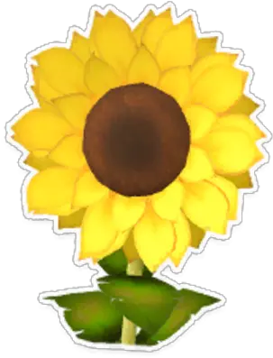 Sunflower Garden Paws Wiki Fandom Sunflower Png Garden Png